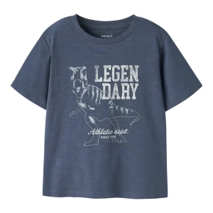 Name It T-Shirt Dinosauer